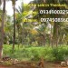 Plot for sale in Chennai